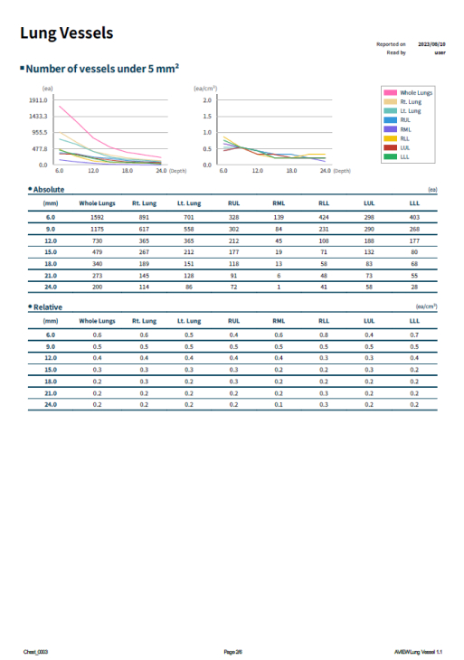 copd 리포트 이미지