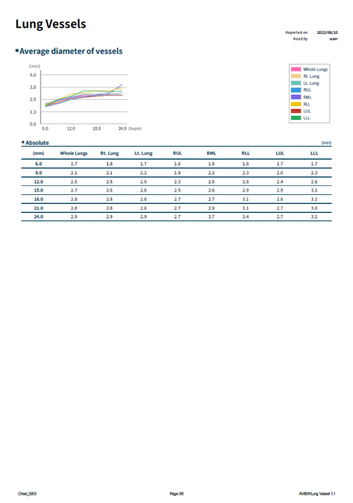 copd 리포트 이미지