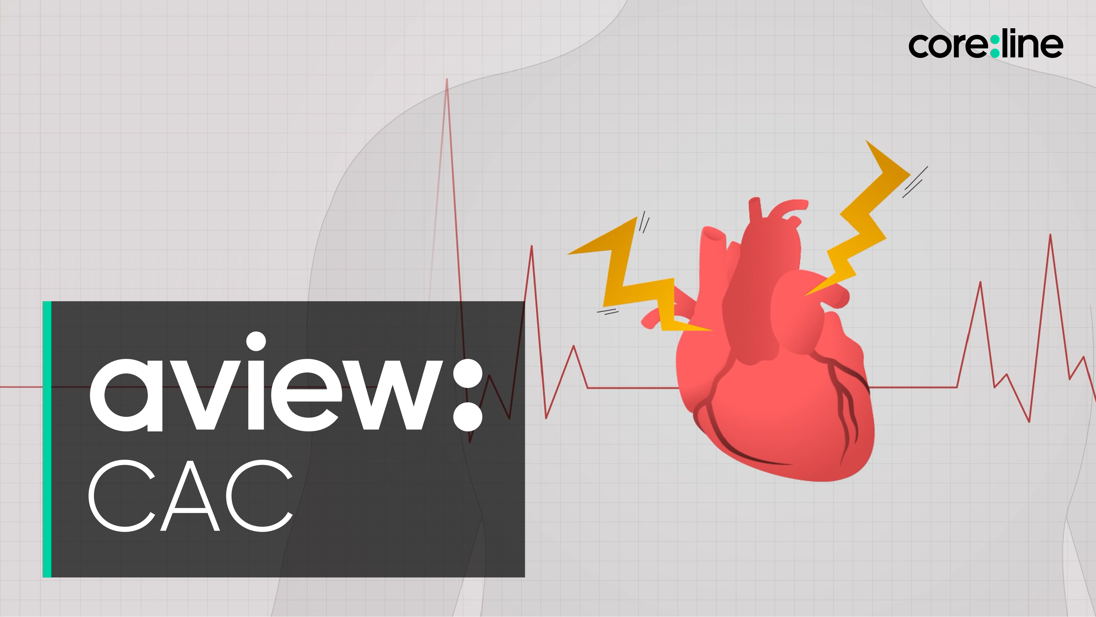 Coronary artery calcium analysis solution